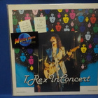 T. REX - T. REX IN CONCERT M-/EX LP - pikkukuva 1