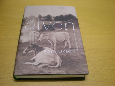 Rosa Liksom: Älven
