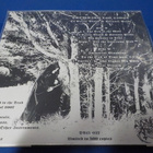 DROWNING THE LIGHT - OF CELTIC BLOOD & SATANIC PRIDE LP - pikkukuva 2