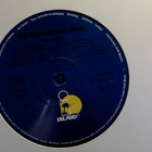 PETER HIMMELMAN :: GEMATRIA :: VINYYLI LP 1987 !! - pikkukuva 4