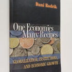 Dani Rodrik : One Economics, Many Recipes - Globalization... - pikkukuva 1