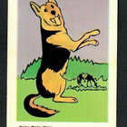 Keräilykuva - Rin-Tin-Tin - pikkukuva 1