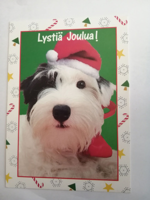Koiralla tonttuhattu päässä. Lystiä Joulua