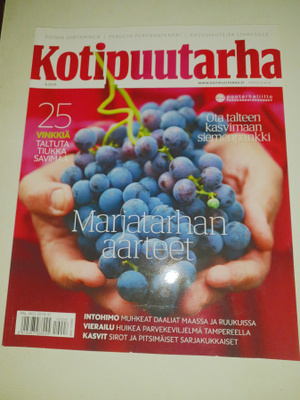 Kotipuutarha 8/2019