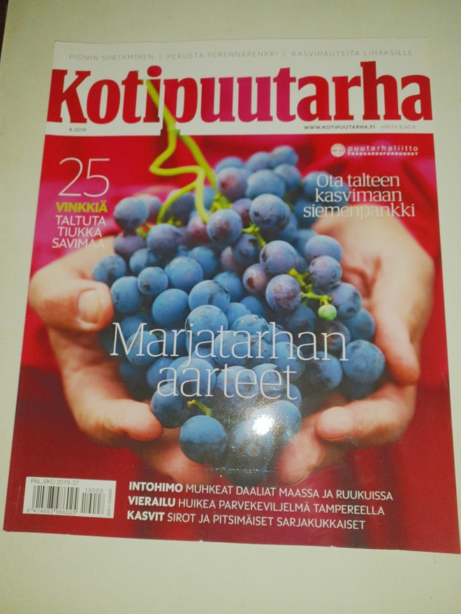 Kotipuutarha 8/2019