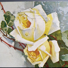 Venäl.ruusukortti Kauniaisiin 1915, sensuurileima - pikkukuva 2