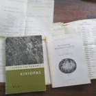 ILKKA LAITAKARI - kiviopas + kivitietoa malminetsijälle - pikkukuva 1