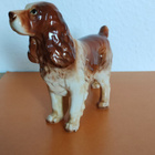 Cocker spaniel Koira - Figuuri - pikkukuva 3