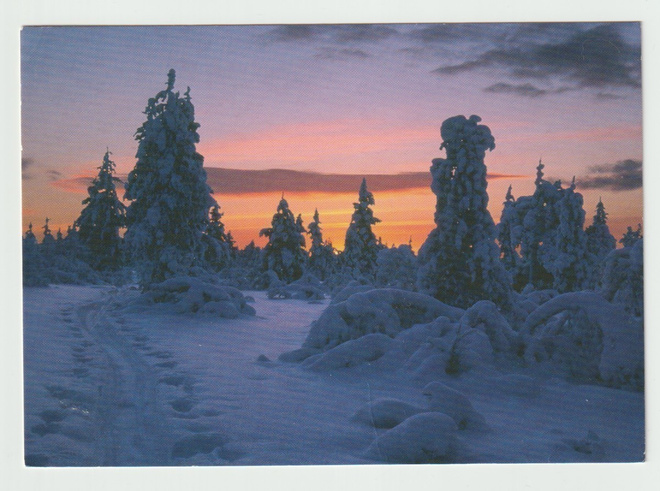 Kalevi Asplund : Kaamoksen aurinko (R)