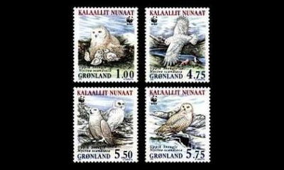 Grönlanti 331-4y ** Pöllöjä y-paperi (1999)