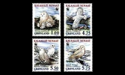 Grönlanti 331-4y ** Pöllöjä y-paperi (1999)