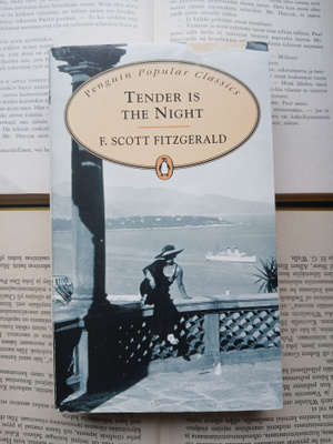 F. Scott Fitzgerald - Tender Is the Night (paperback)