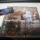 POVERTY STINKS - YOU CAN'T GIVE ENOUGH EX-/EX- 7'' - pikkukuva 1