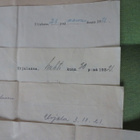 Urjalan Suojeluskunta / Lotta Svärd v.1921 - pikkukuva 4