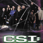 CSI kausi 4 - (6 disc)  DVD boxi  [Uusi. muoveissa] - pikkukuva 1