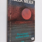 Gisela Meier : Pimeyteen koittaa päivä - pikkukuva 1