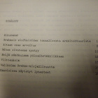 Erkki Salmenhaara: Tutkielmia Brahmsin sinfonioista (1979) - pikkukuva 2