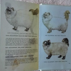Guide to the Cats of the World (Kissat) - pikkukuva 4