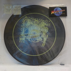 MORKOGOT S/T M/M kuvalevy LP - pikkukuva 1