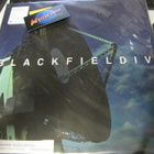 BLACKFIELD - IV LP STEVEN WILSONIN NIMIKIRJOITUKSELLA - pikkukuva 1