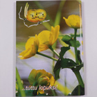 Loppi tutuksi 2007 - pikkukuva 2