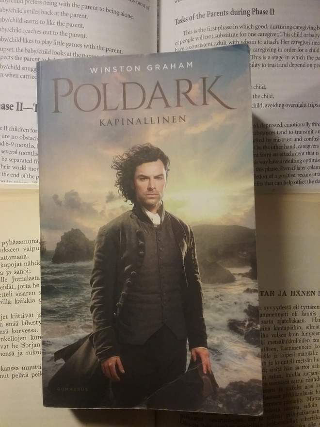 Winston Graham - Poldark: kapinallinen (pokkari)