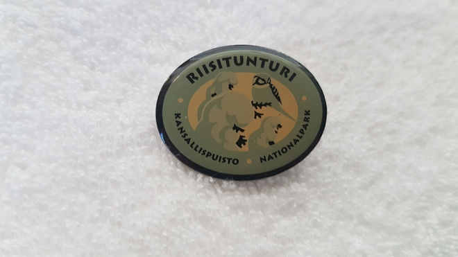Riisitunturi - pinssi