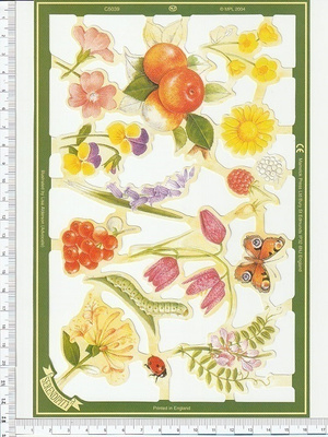 ~ MLP C 5039, kesäinen arkki ~