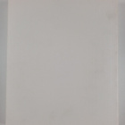 Helene Schjerfbeck - pikkukuva 2
