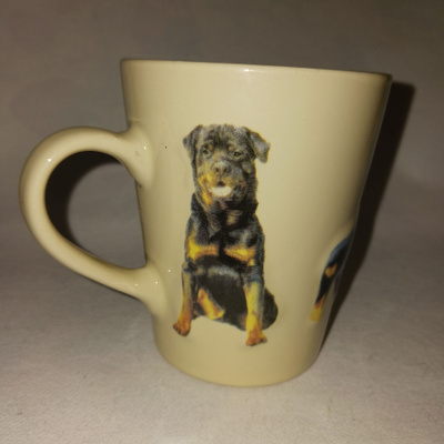Koiramuki Rottweiler