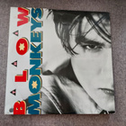 The Blow Monkeys – It Doesn't Have To Be This Way maxisingle - pikkukuva 1