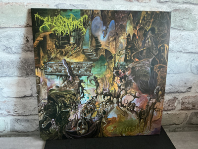 WORM: Foreverglade Lp levy