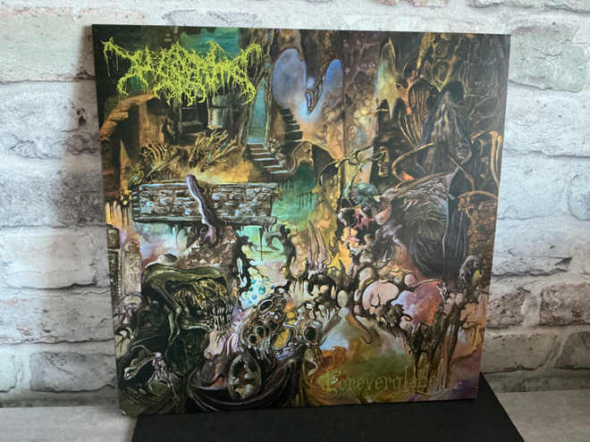 WORM: Foreverglade Lp levy