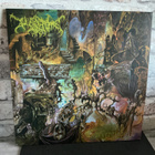 WORM: Foreverglade Lp levy - pikkukuva 1