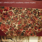 TYÖLÄISNAISTEN URHEILULEHTI vuosikerta 1927, sidottu kirjaks - pikkukuva 2