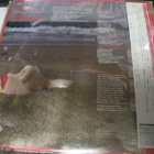 MATTHEW WILDER - I DONT SPEAK THE LANGUAGE LP JAPANI M-/M- - pikkukuva 2
