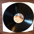 EDWIN STARR Clean 6370 281 1978 Hollanti - pikkukuva 3