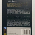 James Joyce - Finnegans Wake - pikkukuva 3