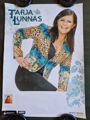 Tarja Lunnas Keikkajuliste 44 .60×42cm
