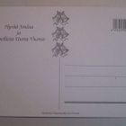 KULKEMATON LAPSET LUMIUKON PAKETTIEN JA KOIRIEN KANSSA - pikkukuva 2