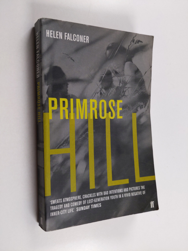 Helen Falconer : Primrose Hill