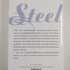 Danielle Steel : Etelän valot - pikkukuva 2
