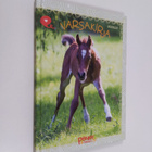 Sofia Wallin : Varsakirja - pikkukuva 1