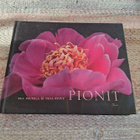 Rea Peltola & Vesa Koivu-Pionit - pikkukuva 1