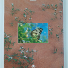 Marycke Jongbloed : The living desert - pikkukuva 2
