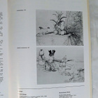 Kauko Lehtinen 1925-2012 - pikkukuva 5