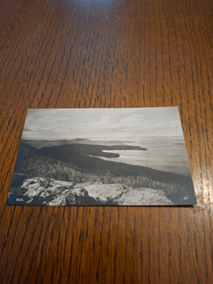 12 Koli