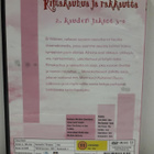 Rimakauhua Ja Rakkautta - Kausi 2 (Cold Feet) (dvd) - pikkukuva 4