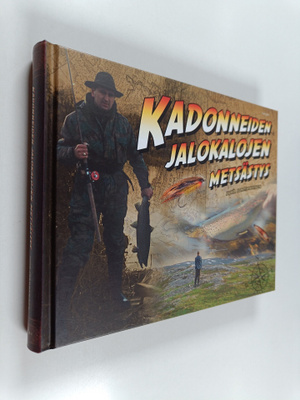 Juha Jormanainen : Kadonneiden jalokalojen metsästys
