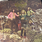 Wackers: Wackering Heights (Elektra 1971) sunshine pop - pikkukuva 1